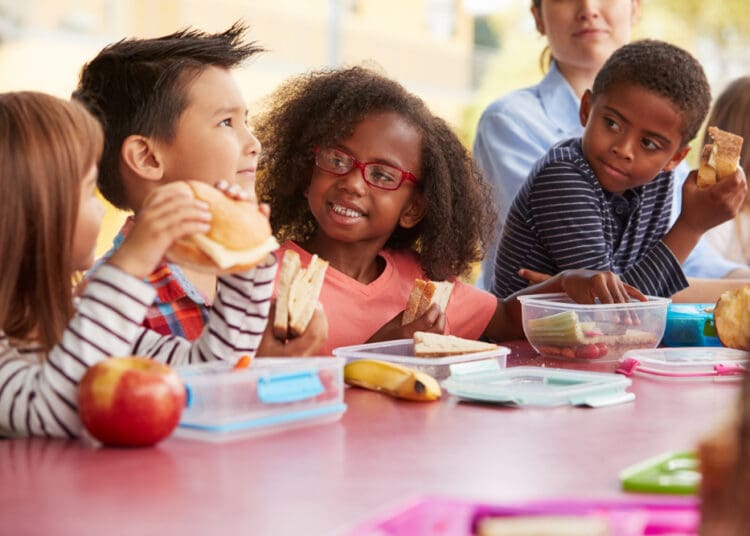 Nourishing Minds and Bodies: Government-Funded School Lunch Programs