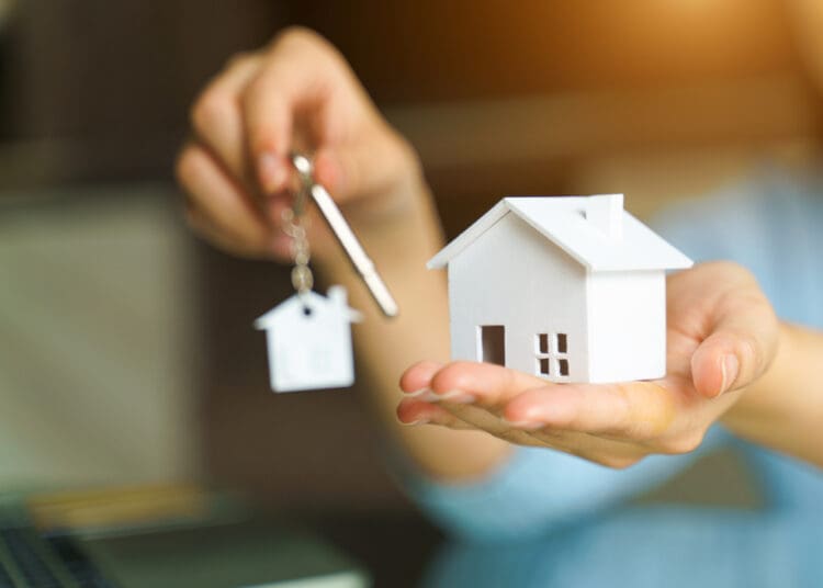 Government Housing Grants: Financial Assistance for Homeowners and Renters